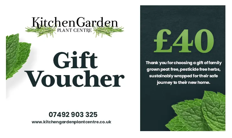 £40 gift voucher